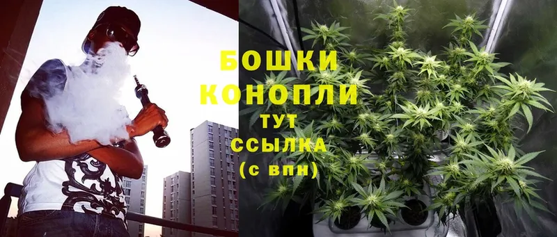 Бошки Шишки SATIVA & INDICA  kraken вход  Сорск 